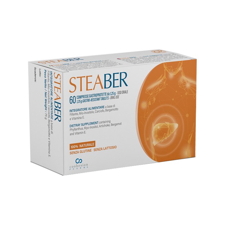 Steaber Compresse Gastroprotette 60 pz