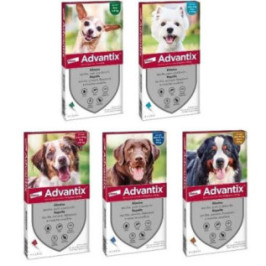 ADVANTIX SPOT ON per cani 10-25kg - Protezione antiparassitaria