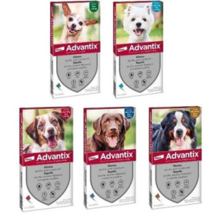 ADVANTIX SPOT ON per cani 10-25kg - Protezione antiparassitaria