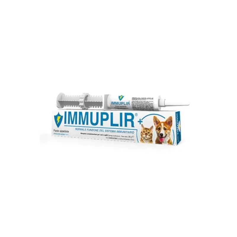 Immuplir Pasta - SHEDIR PHARMA