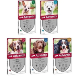 ADVANTIX SPOT ON per cani 10-25kg - Protezione antiparassitaria