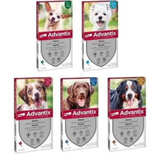 ADVANTIX SPOT ON per Cani 4-10kg | Antiparassitario Efficace