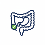 Apparato Digerente